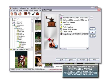 Thumbsplus Pro 7.1 Download